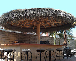 16ft Mexican Palm Palapa